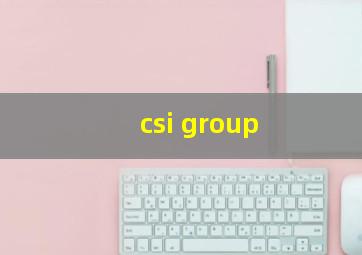 csi group